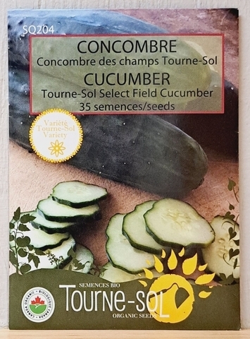 SEEDS - Cucumber Field (Tourne-sol)